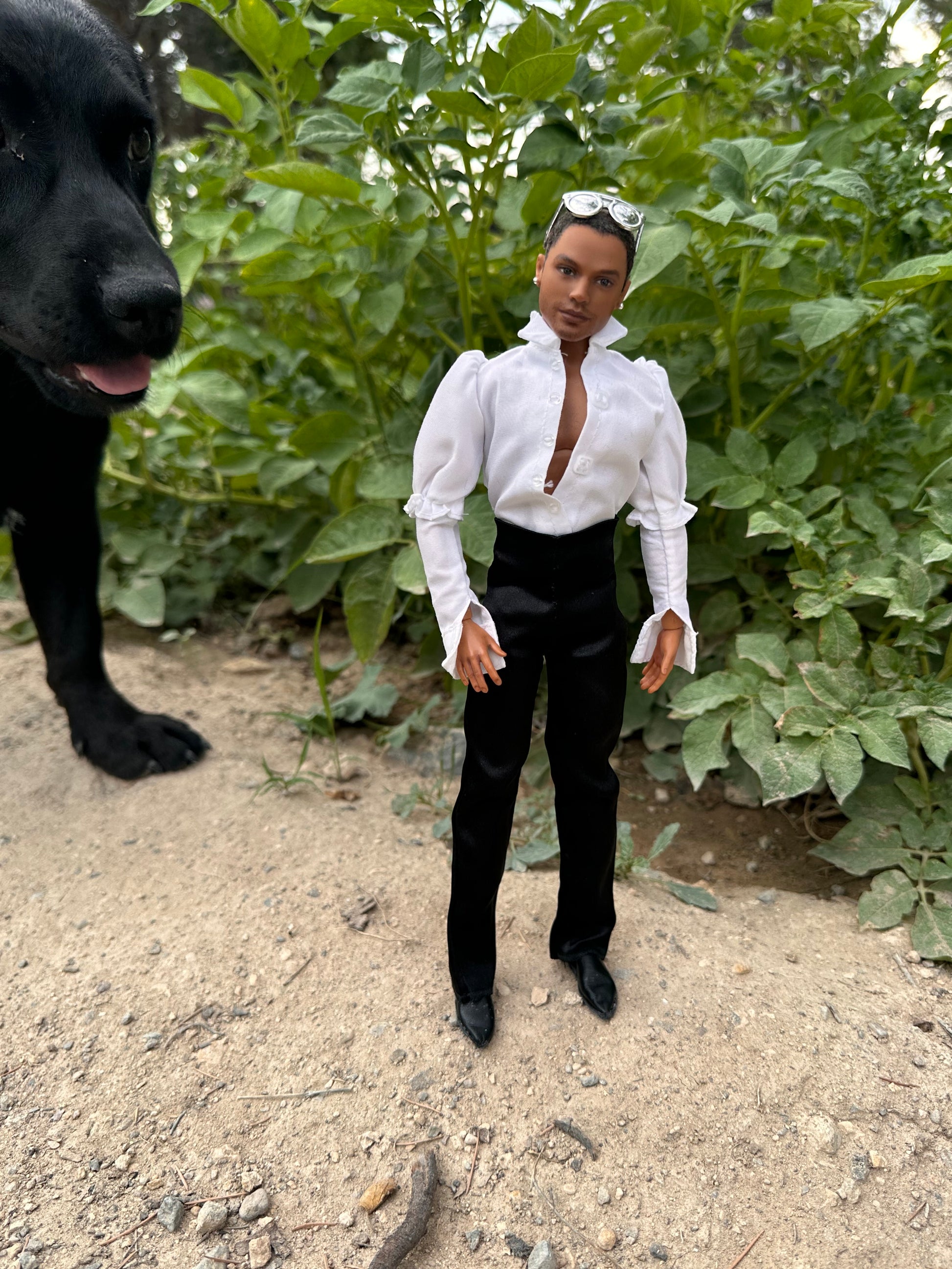 Custom Ken Doll full body repainted